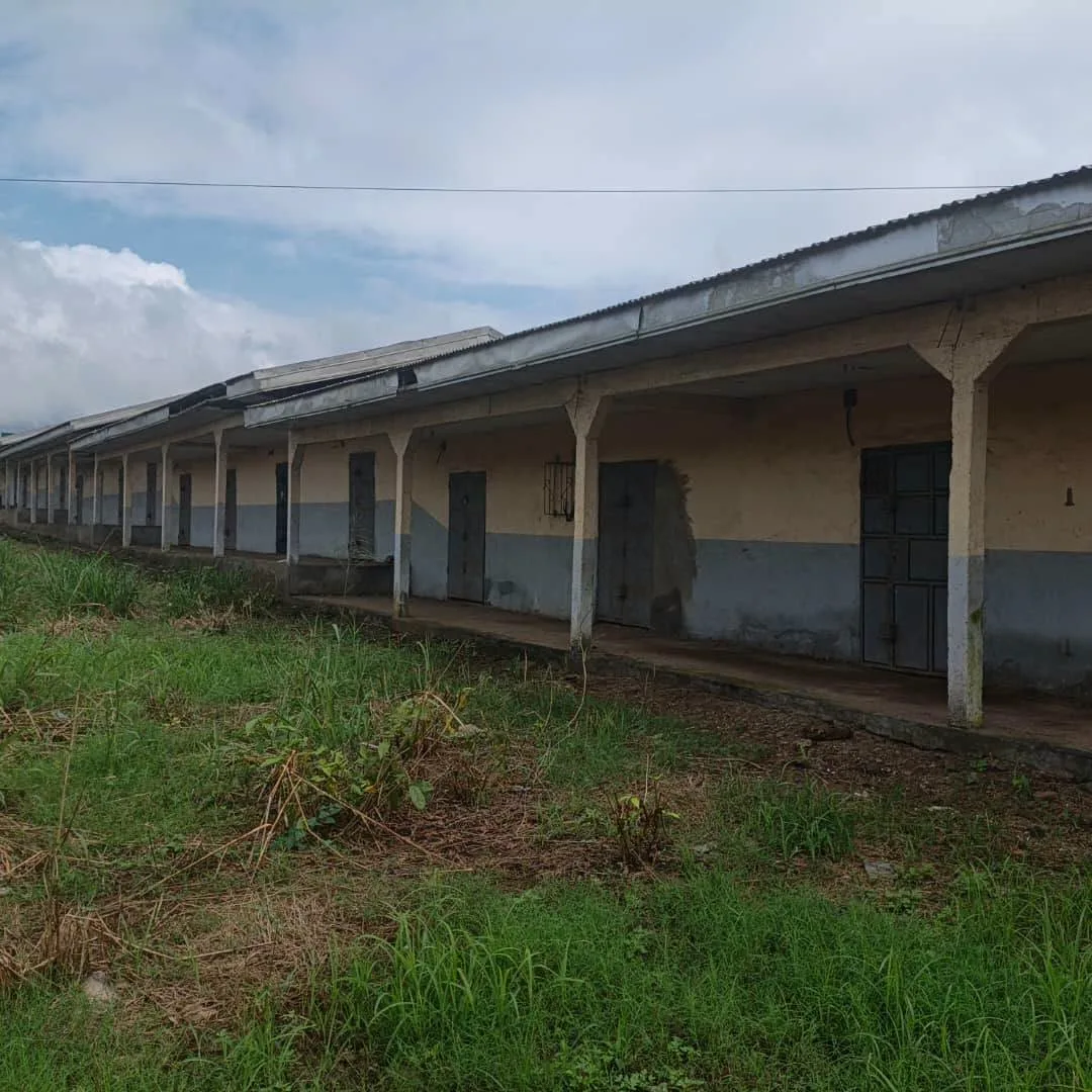 The Tiko Council has announced plans to operationalize the Tiko Council Farm Market, located at the Tiko Motor Park along the busy Tiko-Douala Road