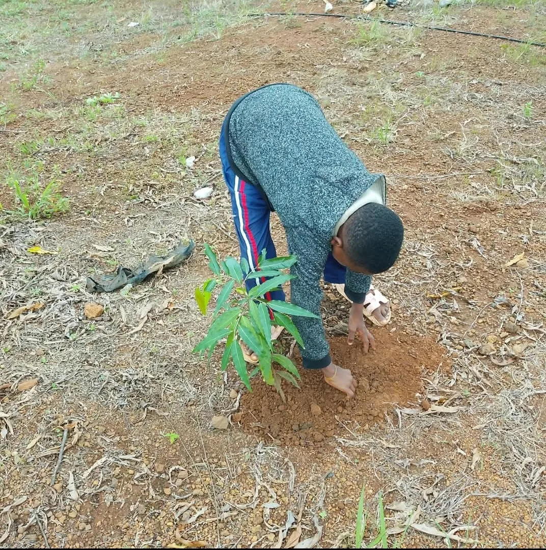 Operation One Youth, One Tree is a peacebuilding initiative encouraging young people to plant and care for at least one tree as a symbol of peace and hope.