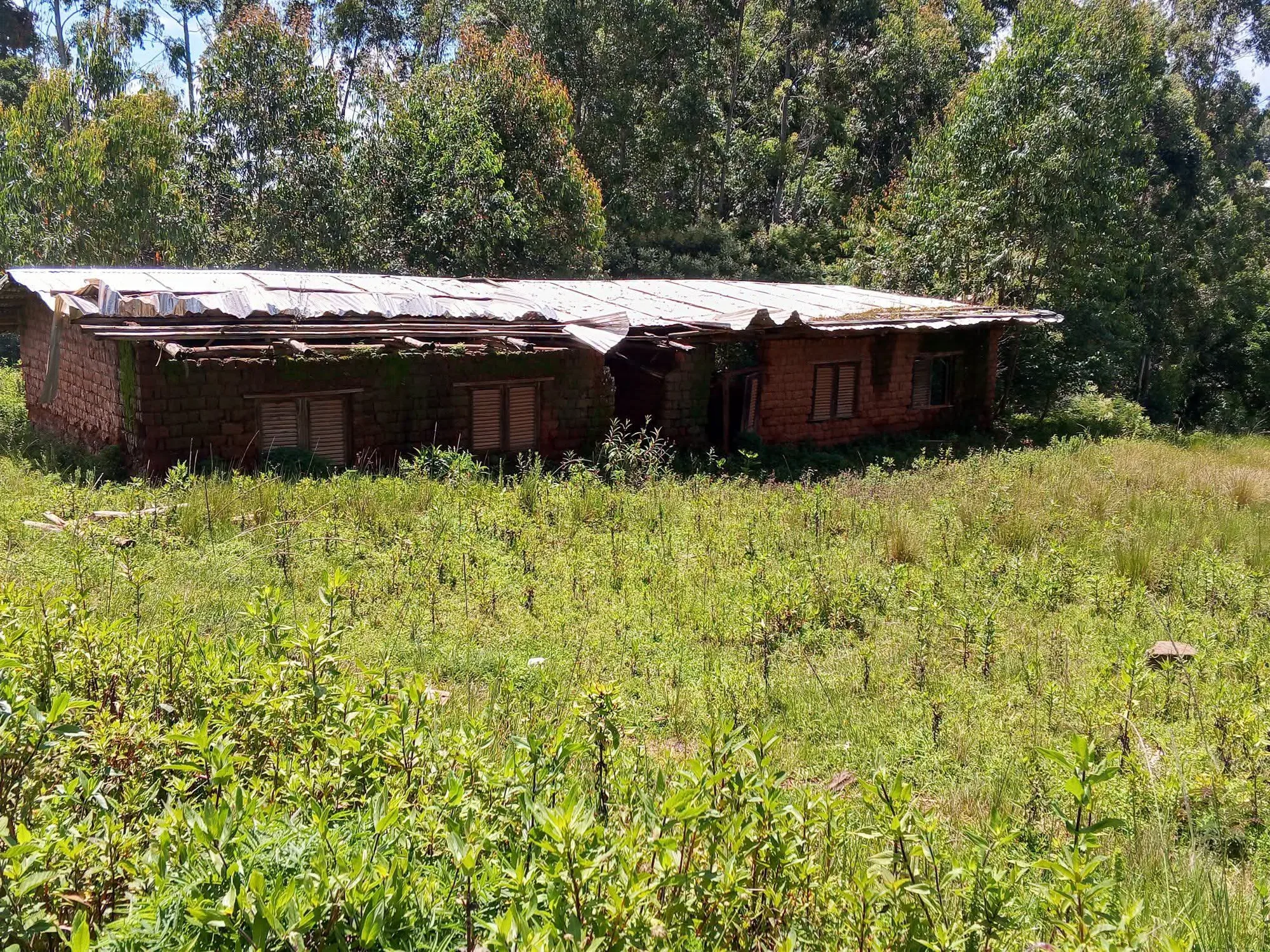 This is a picture of Government School (GS) Vekovi in Bui Division of Cameroon's Northwest Region